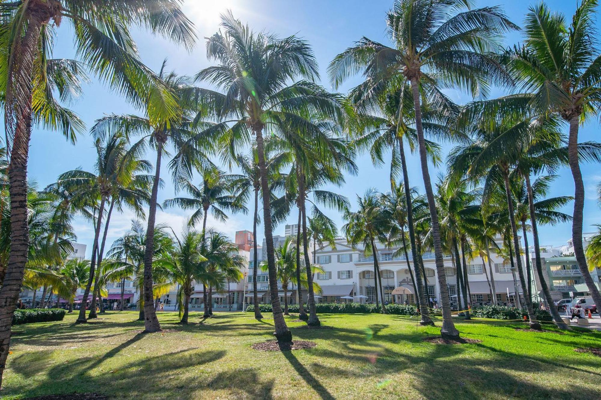 Chic Large Studio Apt Near Ocean Drive South Beach 迈阿密海滩 外观 照片