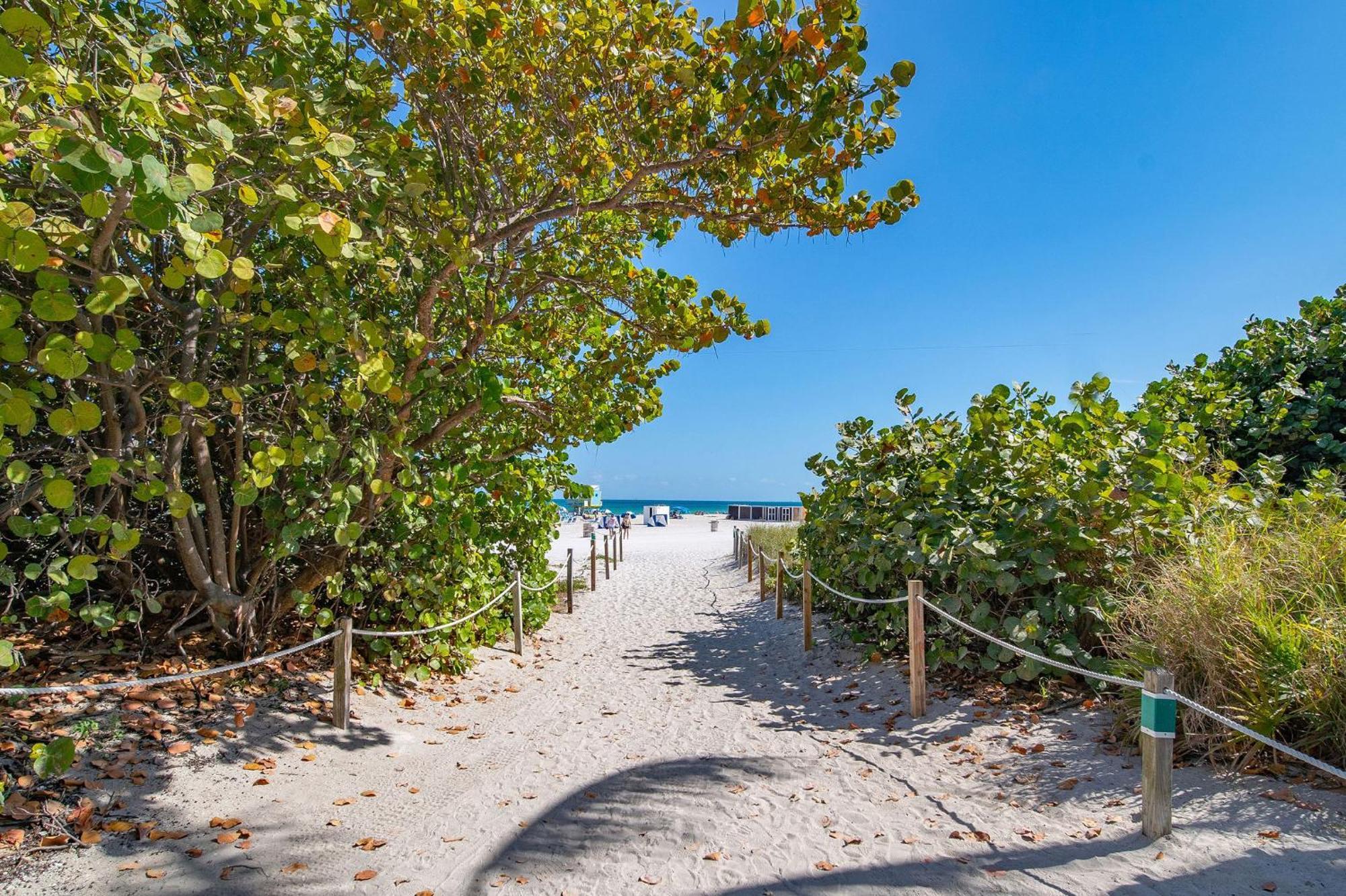 Chic Large Studio Apt Near Ocean Drive South Beach 迈阿密海滩 外观 照片